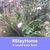 Linda Strickland Tedder's profile image