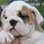 Marie Claire Vandendriessche's profile image