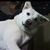 Herb Campbell's profile image