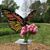 Lynn Marie's profile image