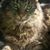 Jennifer Ponder-claar's profile image