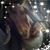 Sue Purb's profile image