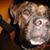 Cindy Nusbaum's profile image