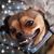 Julie Laird's profile image