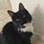 Cricket Caires-Peterson's profile image