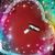 Mikki Tourot Tutterman's profile image