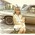 Donna Huey Zajdel's profile image