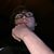 Dylan Taylor's profile image