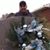 Wayne Franks's profile image