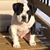 Ken Roberson Sr.'s profile image