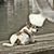 Cailym McCarthy's profile image