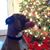 Heather Wilcox's profile image