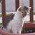 Shanna Marie Wilson's profile image