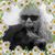 Pam Schott Lucynski's profile image