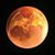 David Schlotman's profile image