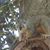 Sherrie Allfrey's profile image