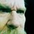 David Kolaga's profile image