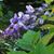 Lee McCook's profile image