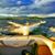 Kristine Lightbody-Dye's profile image