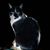 Jackie Wade Beebe's profile image