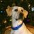 Tammy Scanio Smith's profile image