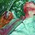 Thomas Kaul's profile image