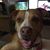 Belinda Mc Rae Dunlap's profile image