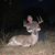 Jason Woods's profile image