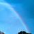 Julie Young Harkins's profile image