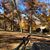 Marisa Bergery Sherrill's profile image