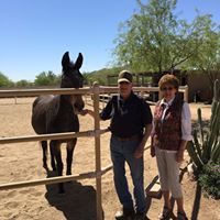 Pat Thomason's profile image