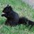 Rosann Reinier's profile image