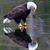 StanLinda Ocheltree's profile image