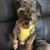 Crissy Vella Smith's profile image