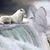 Lobito Gitano Santamaria's profile image