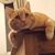 Becci Clippinger Eng's profile image