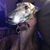 Lisa Houghten Cote's profile image