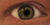 Herman S.'s profile image