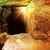 Dale Anderson Klauss's profile image