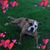 Paula Stricker Fadden's profile image