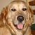Mona Weslie's profile image