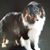 Louise Lee's profile image