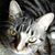 Becki Barnhardt's profile image