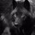 Carmen Balfour's profile image