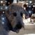 Lori Reinke's profile image