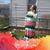 Shannon Johnson's profile image