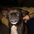 Dana Mentel's profile image