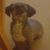 Robbin Nott's profile image