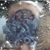 VThings Pettway's profile image