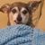 Dawn Rayner's profile image